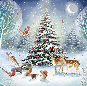 Christmas Card Pack PACK/MAGICAL FOREST