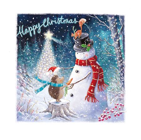 Christmas Card Pack PACK/A TIME FOR GIVING