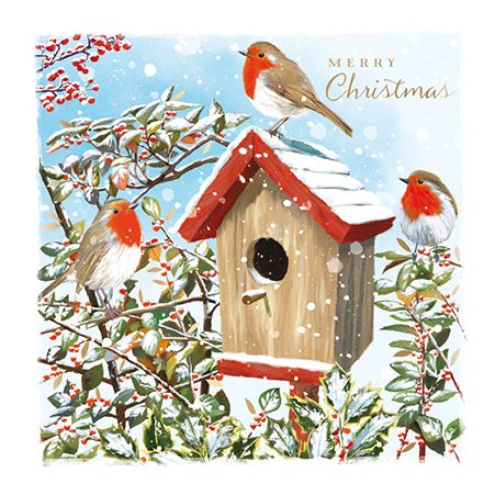 Christmas Card Pack PACK/ROBINS AND BIRDBOX