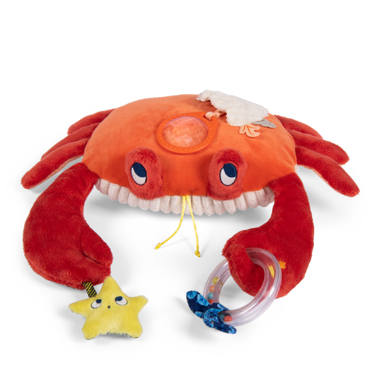 Les Adventures de Paulie - Large Activity Crab
