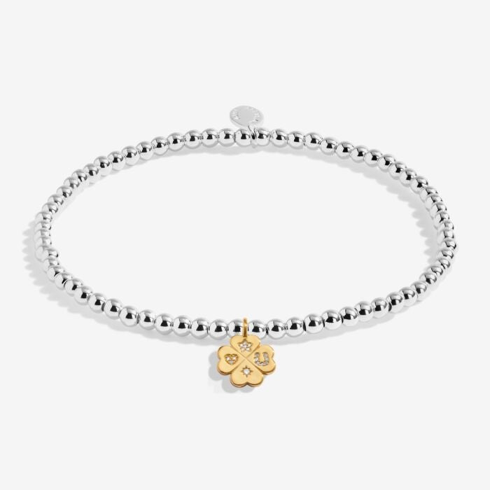 A Little 'Lucky Charm' Bracelet in Silver and Gold Plating - RUTHERFORD & Co