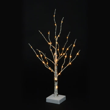 B/O BIRCH TREE 50LED W/TIMER - RUTHERFORD & Co
