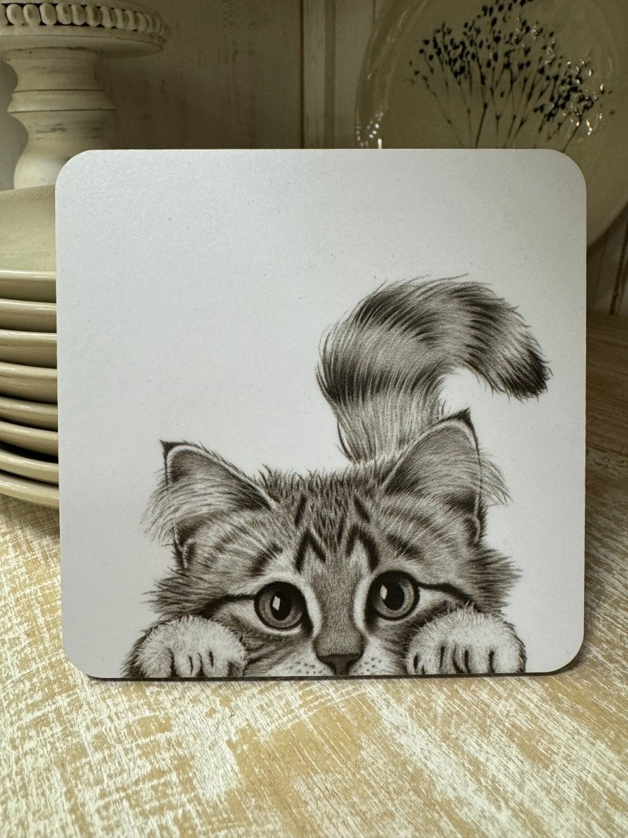 Coaster - Cat - RUTHERFORD & Co