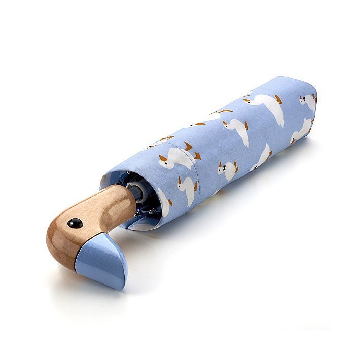 Curio UV - Duck - RUTHERFORD & Co