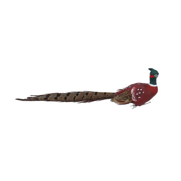 Feather Pheasant Acrylic Clip on Bird (25cm) - RUTHERFORD & Co