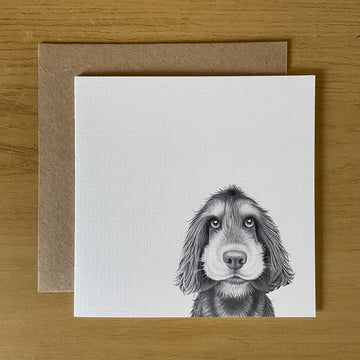 Greeting Card - Sonny Spaniel - RUTHERFORD & Co