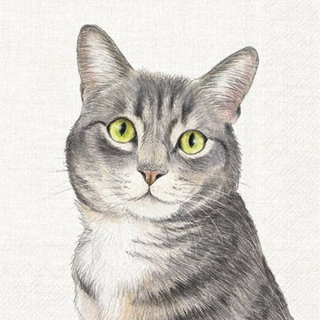 Lunch Napkins/Farm Cat - RUTHERFORD & Co