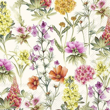 Lunch Napkins/Marabella - RUTHERFORD & Co