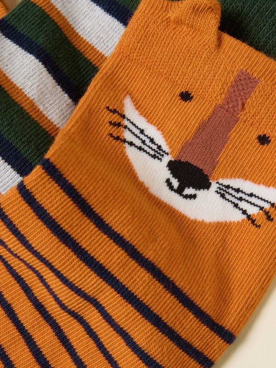 Neat Feet Orange/Navy 3 Pack Socks - RUTHERFORD & Co