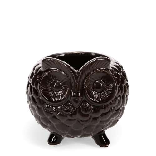 Owl plant pot - RUTHERFORD & Co
