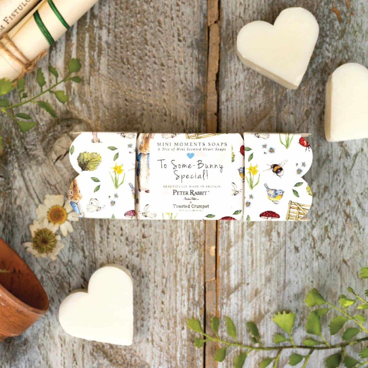 Peter Rabbit Boxed Mini Soaps - RUTHERFORD & Co