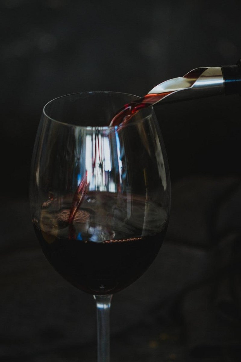 BarCraft Stainless Steel Wine Pourer with Stopper - RUTHERFORD & Co