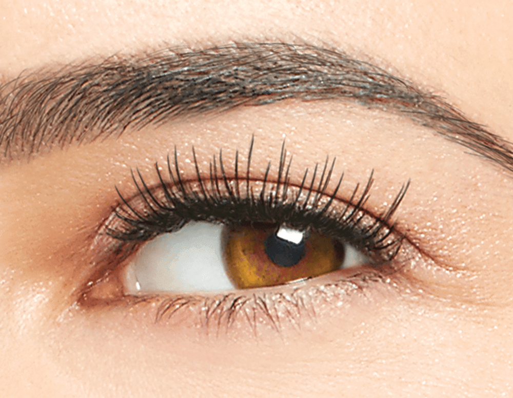 Real False Lashes Daily Darling - RUTHERFORD & Co