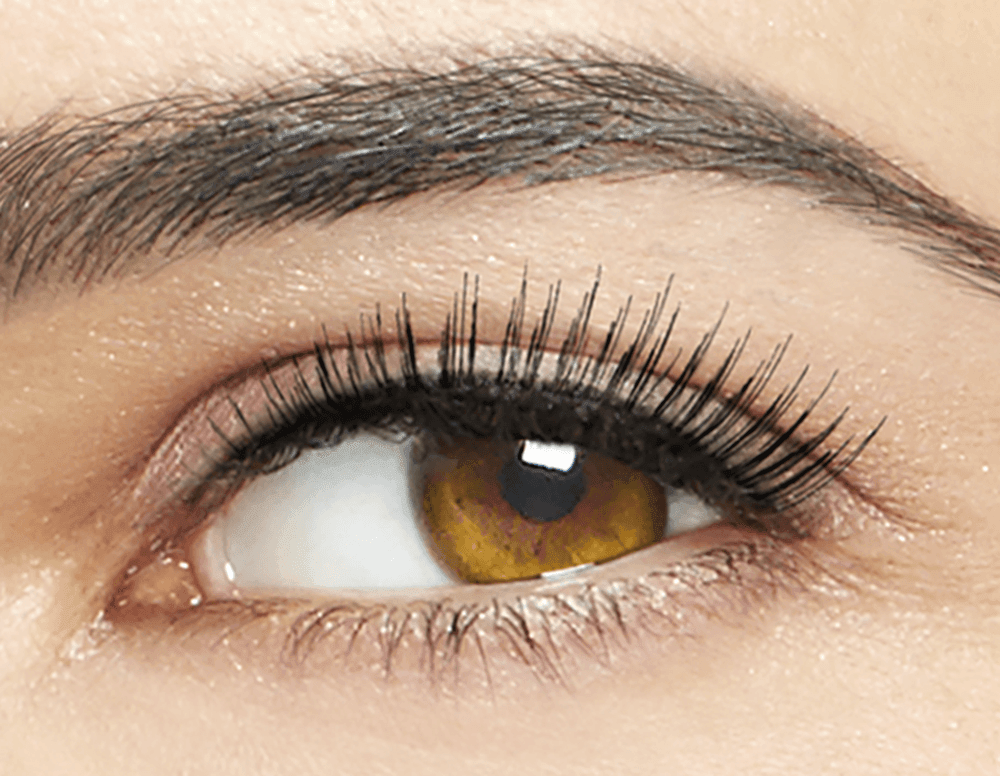 Real False Lashes Debutante - RUTHERFORD & Co