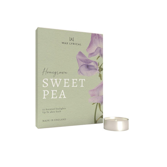 Sweet pea - Pack of 12 tealights - RUTHERFORD & Co