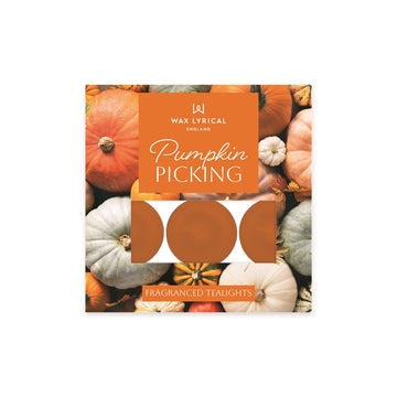 Pack of 9 Tealights Pumpkin Picking