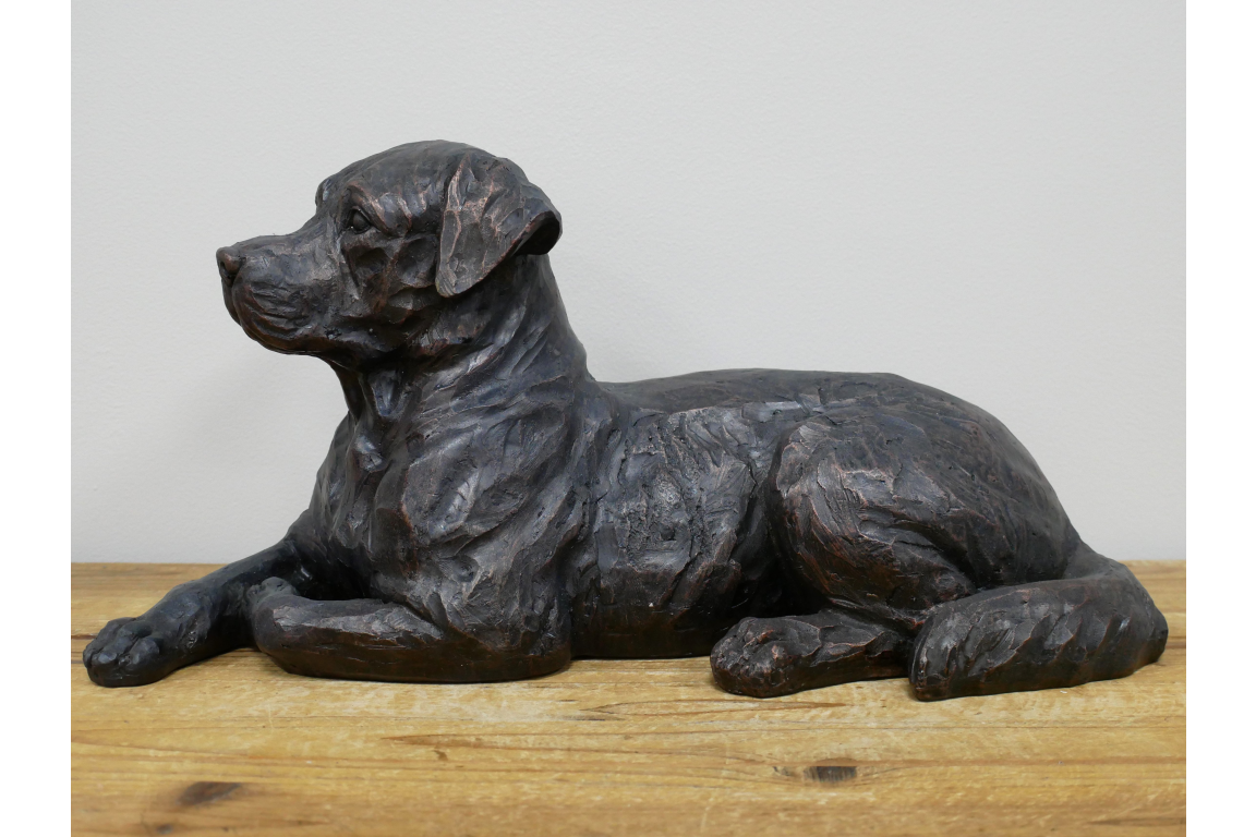 Laying Dog