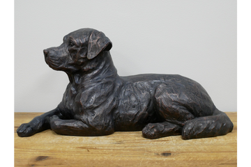 Laying Dog