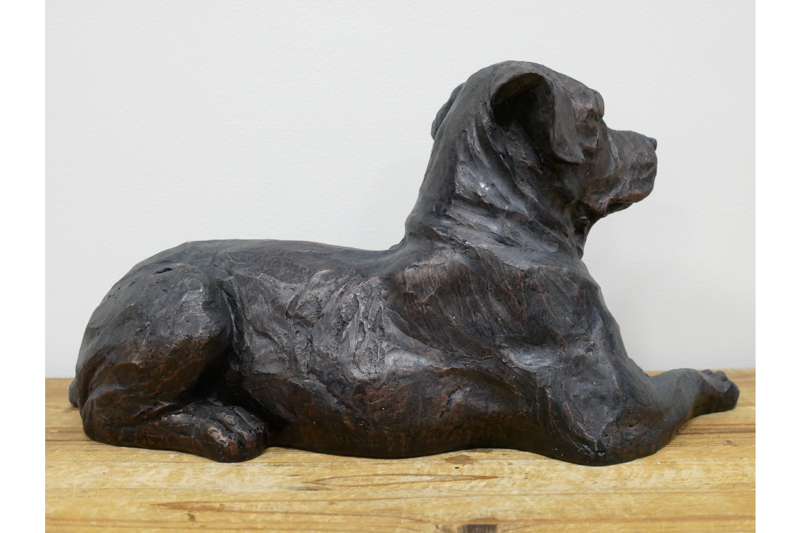 Laying Dog
