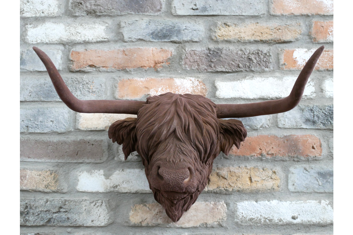 Cow Head