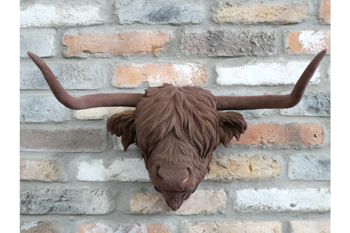 Cow Head