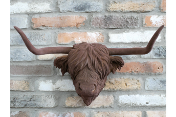 Cow Head