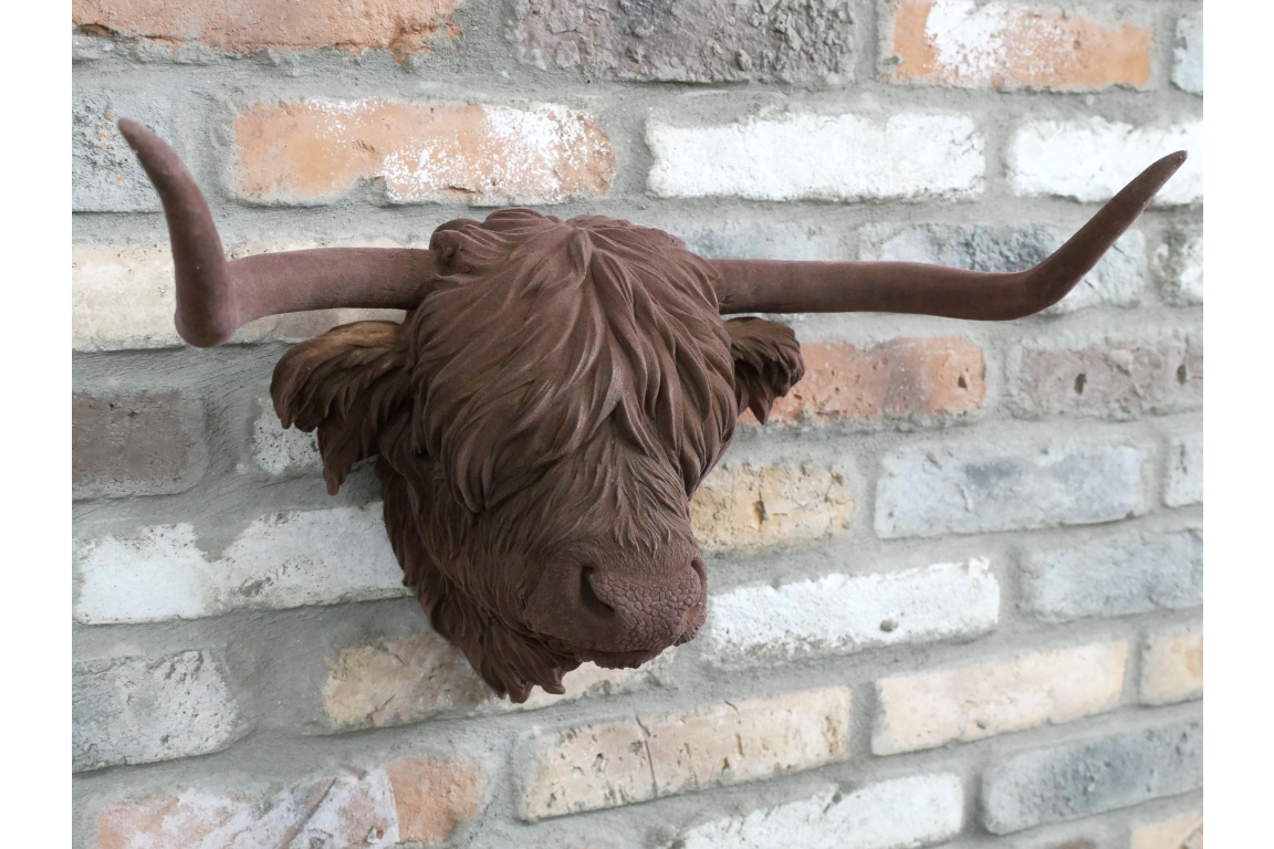 Cow Head