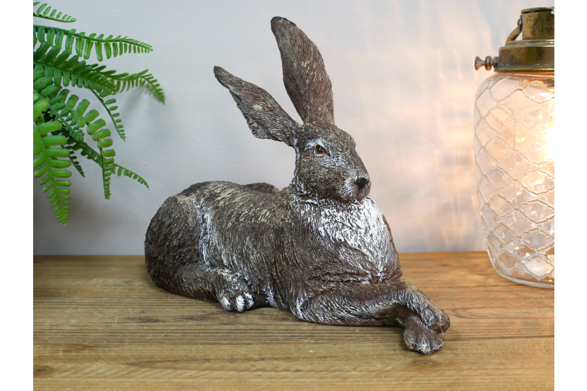 Relaxing Rabbit