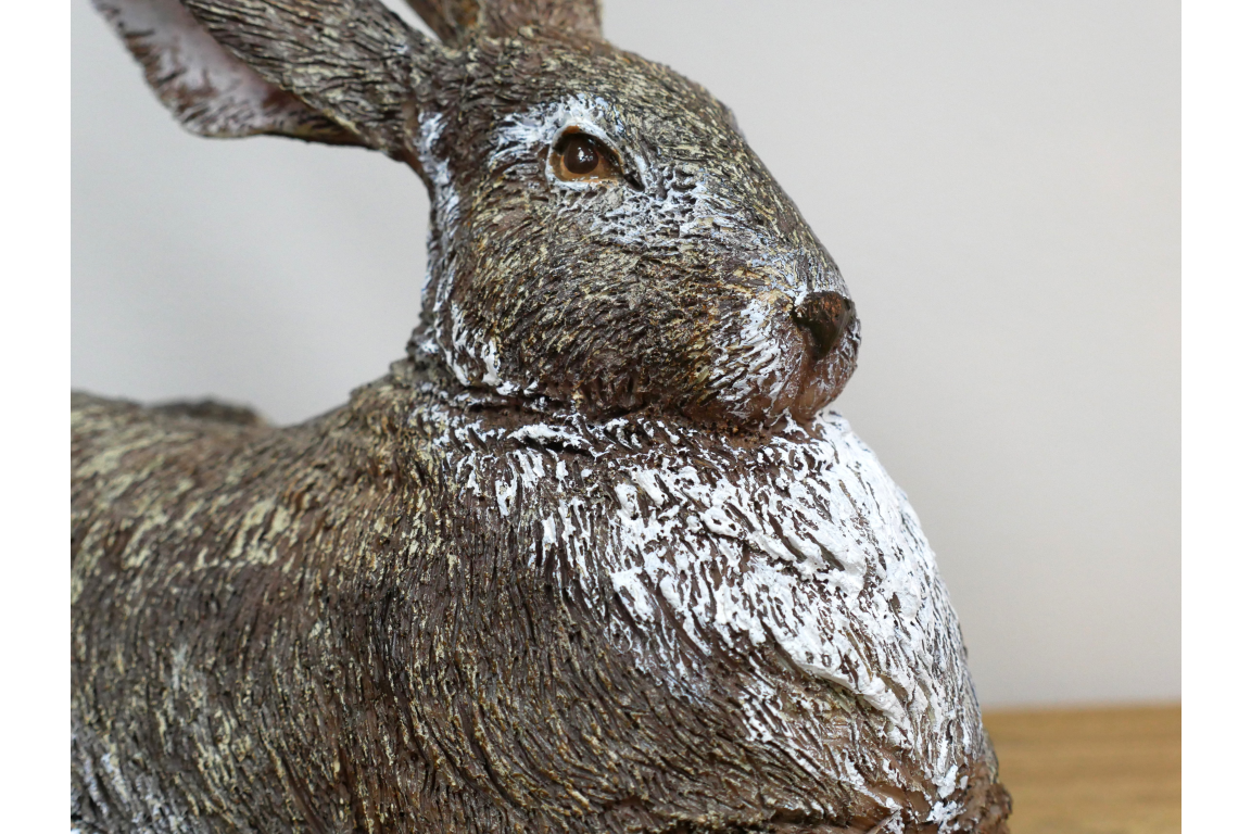 Relaxing Rabbit