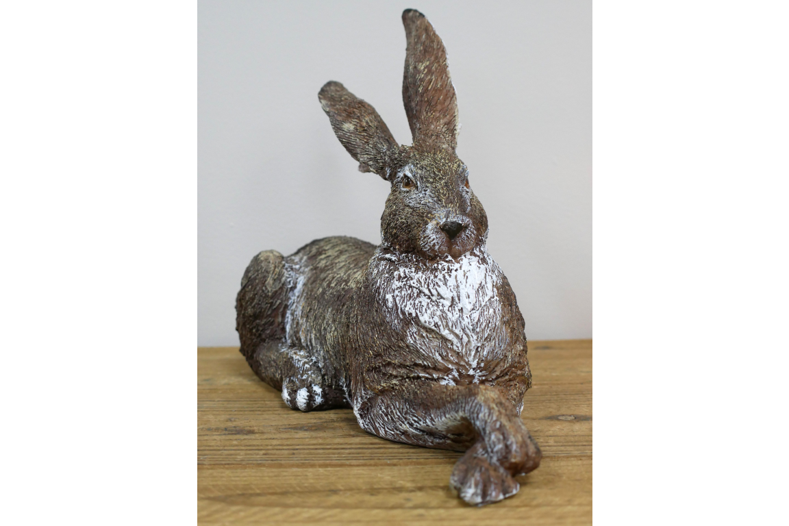 Relaxing Rabbit