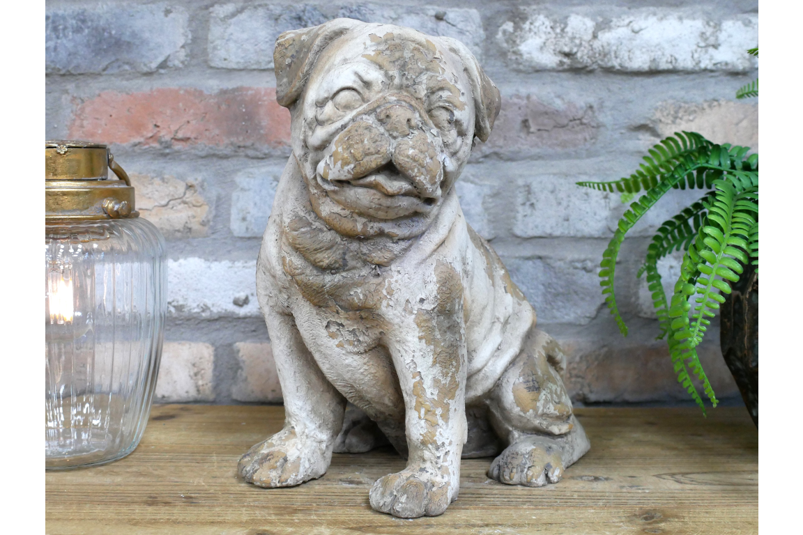 Sitting Dog - Frenchie