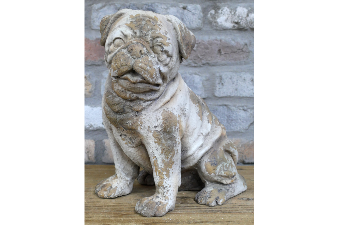 Sitting Dog - Frenchie