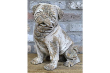 Sitting Dog - Frenchie