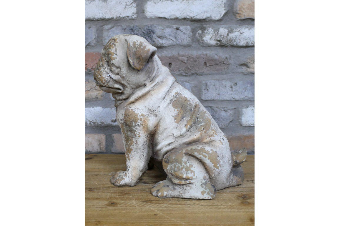 Sitting Dog - Frenchie