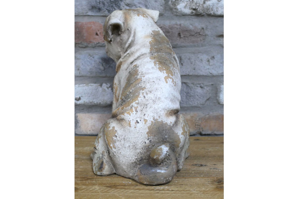 Sitting Dog - Frenchie