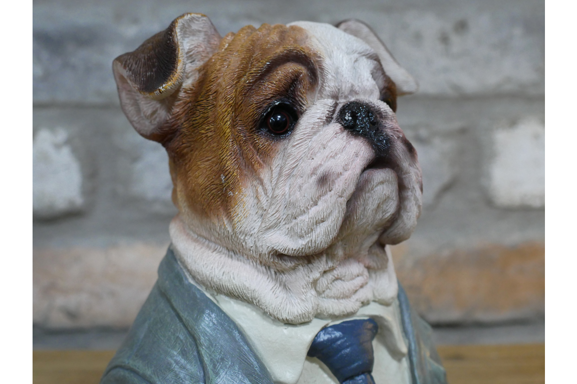 Small Bulldog Bust