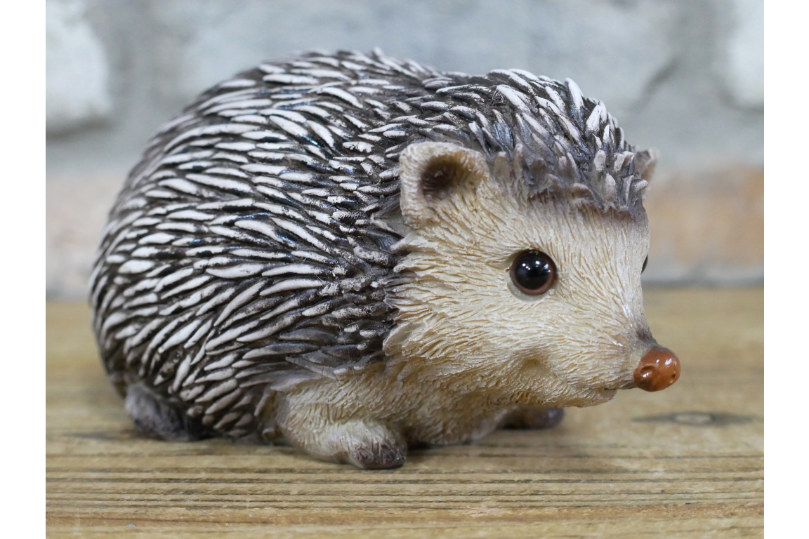 Hedgehog