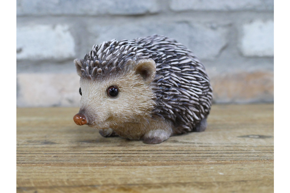 Hedgehog