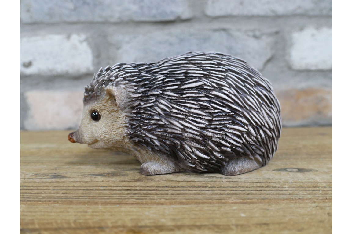 Hedgehog