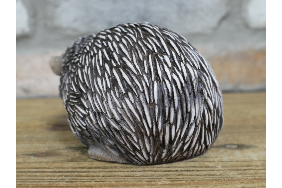 Hedgehog