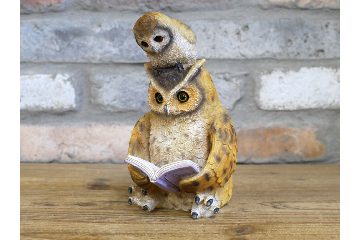 Owl Reading