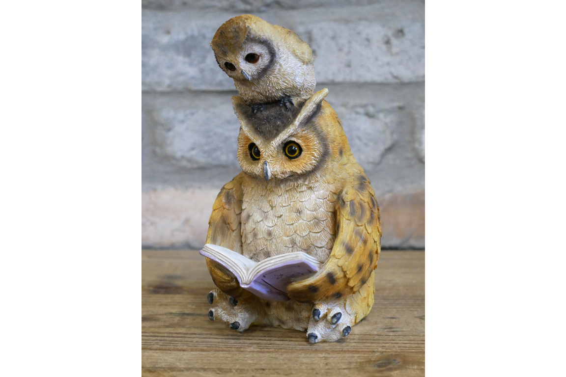Owl Reading