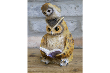 Owl Reading