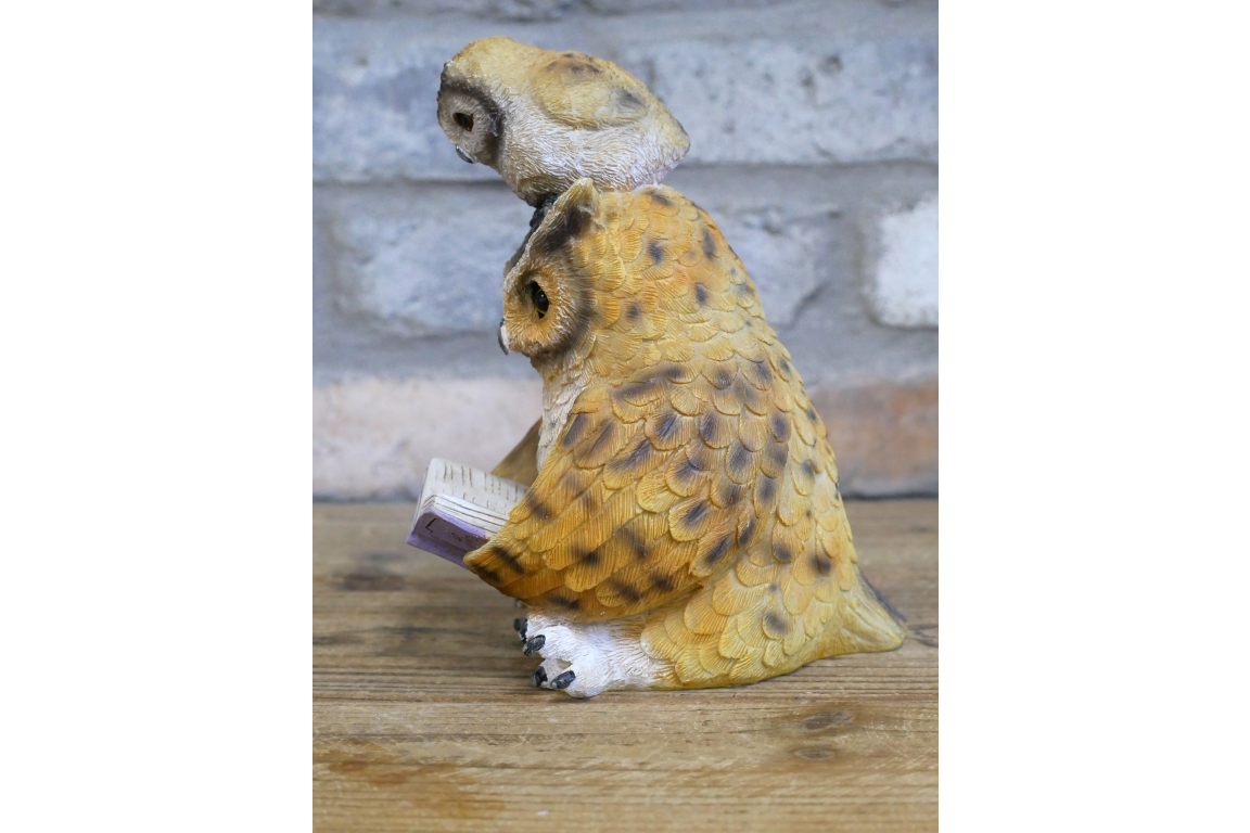 Owl Reading