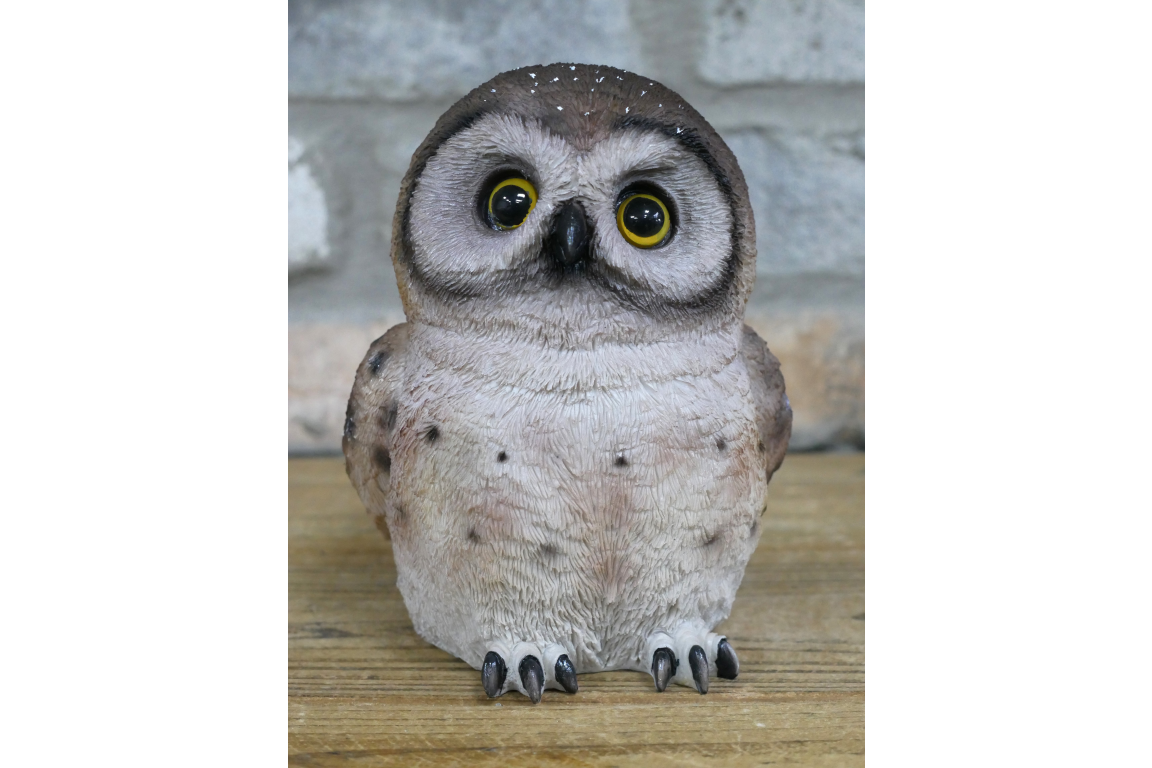 Owl