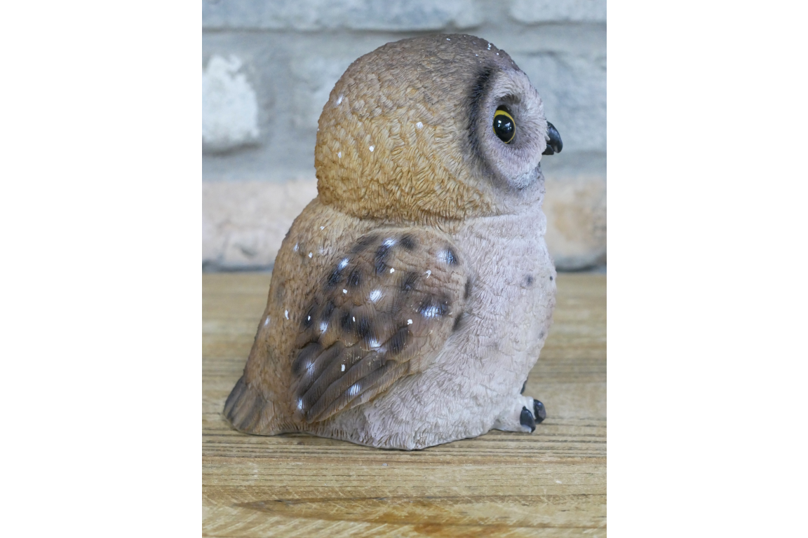 Owl