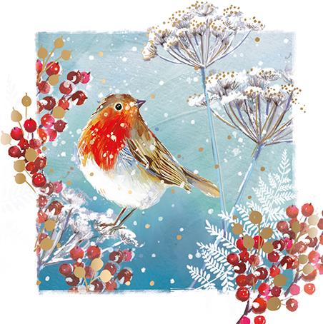 Christmas Card Pack PACK/ROBIN WITH BERRIES