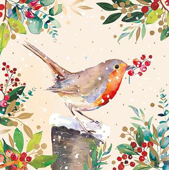 Christmas Card Pack PACK/WINTER ROBIN