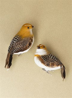 Natural Feather Partridge Dec/Astd/14cm