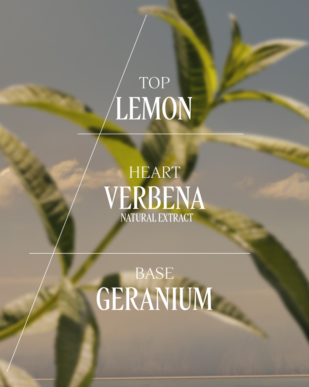 Verveine Eau de Toilette 75 ml